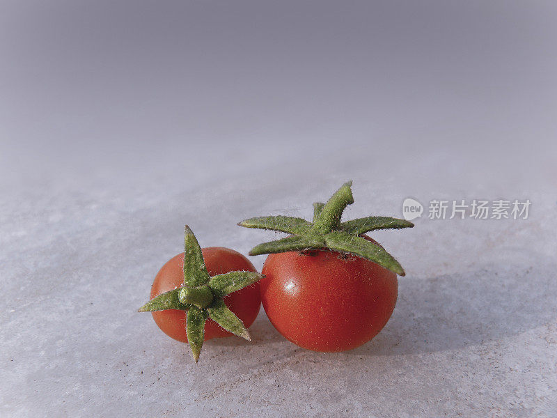 西红柿,Lycopersicon esculentum